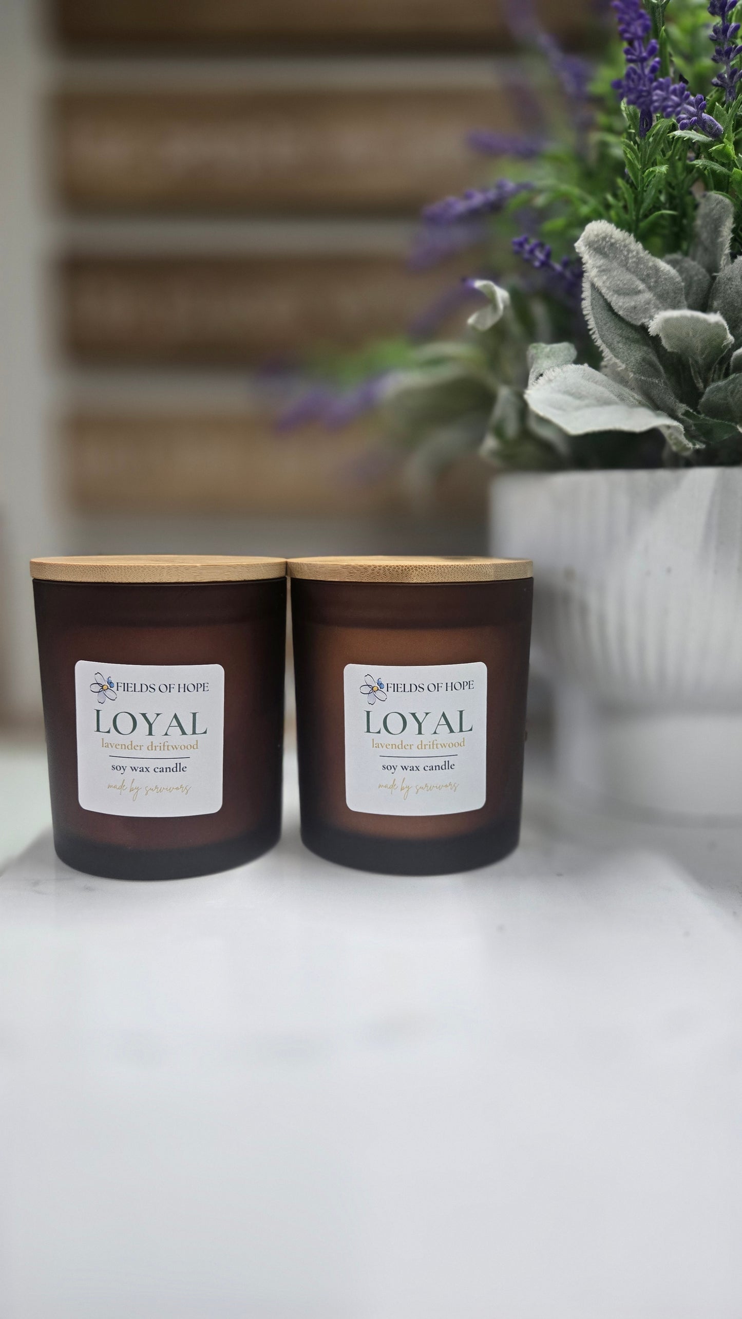 Fall Candle Collection
