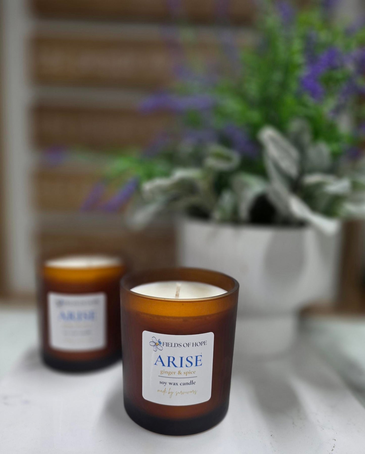 Fall Candle Collection